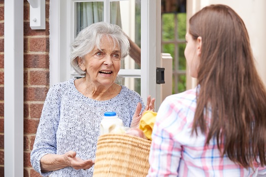 light housekeeping for seniors philadelphia